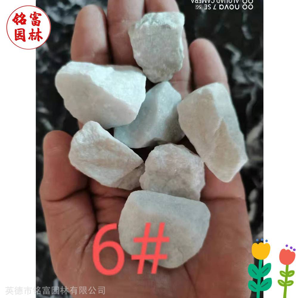 花园路径铺路石-白色鹅卵石-茂名鹅卵石厂家(图3)