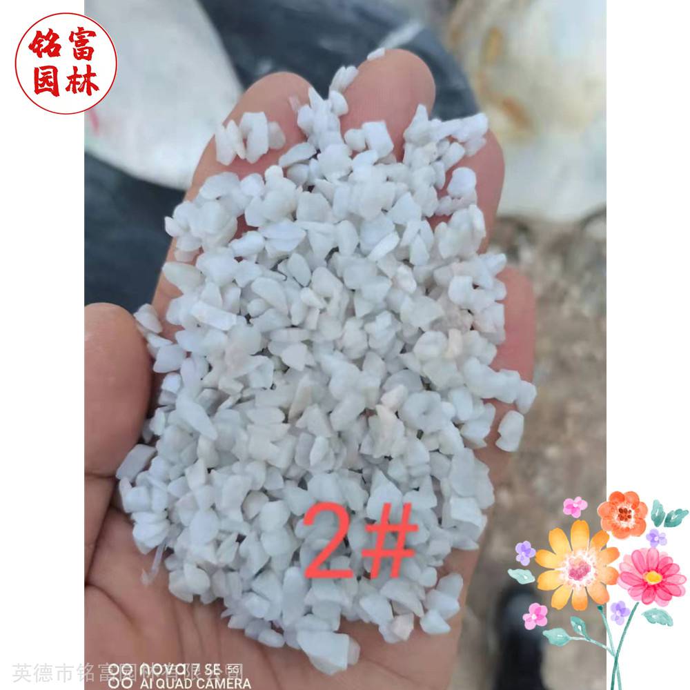 花园路径铺路石-白色鹅卵石-茂名鹅卵石厂家(图6)