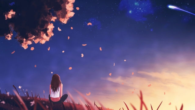 博鱼官方体育登录入口田径运动会器材与工具分类