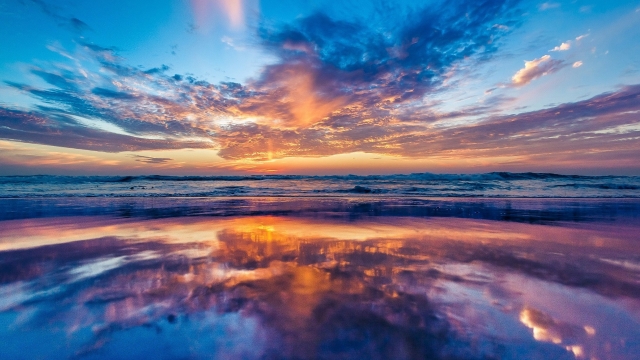 博鱼·体育中国官方网站最好的篮球训练器材有哪些