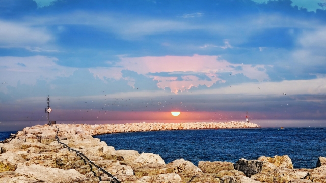 博鱼·体育登录入口杏林哪里可以打乒乓球台