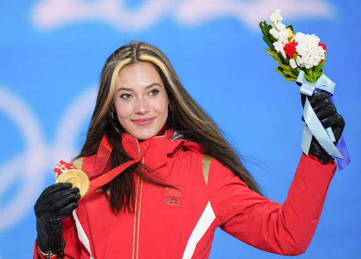 单个的室内乒乓球台